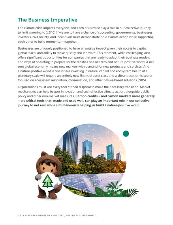 Salesforce on Carbon Credits - Page 3
