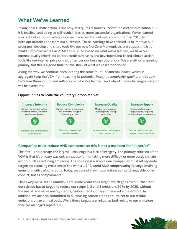 Salesforce on Carbon Credits - Page 7