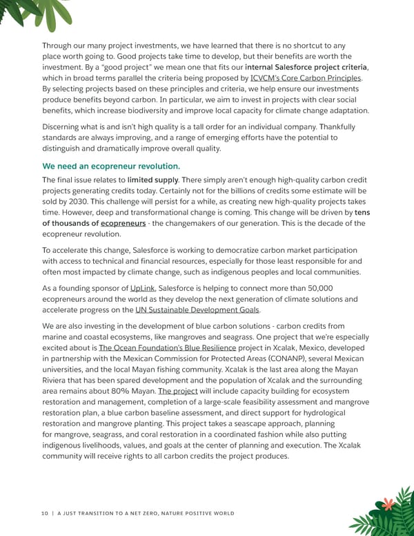 Salesforce on Carbon Credits - Page 10