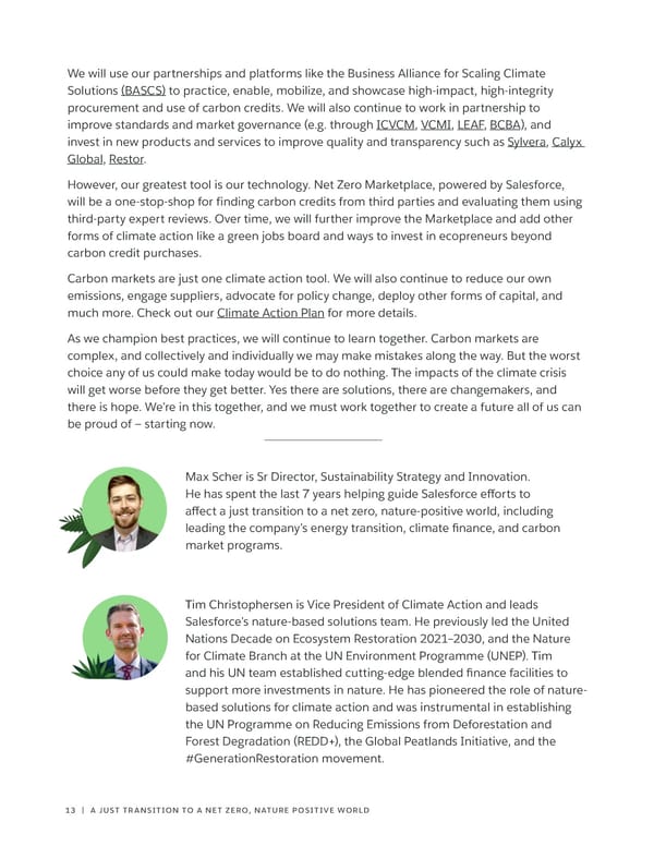 Salesforce on Carbon Credits - Page 13