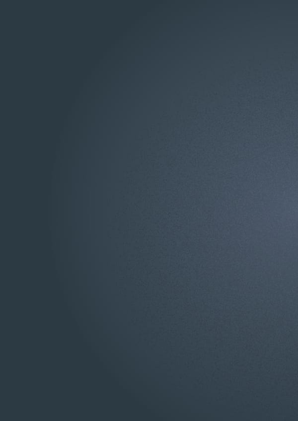 The Digital Imperative for CMOs | BCG - Page 2