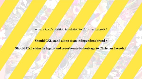 CXL by Christian Lacroix | Brandbook - Page 6