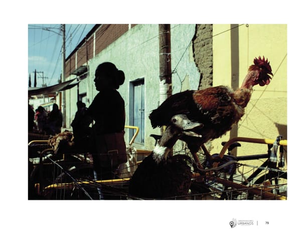 Antología de fotografía de calle mexicana - Page 81