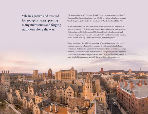 Yale Brand Book - Page 3
