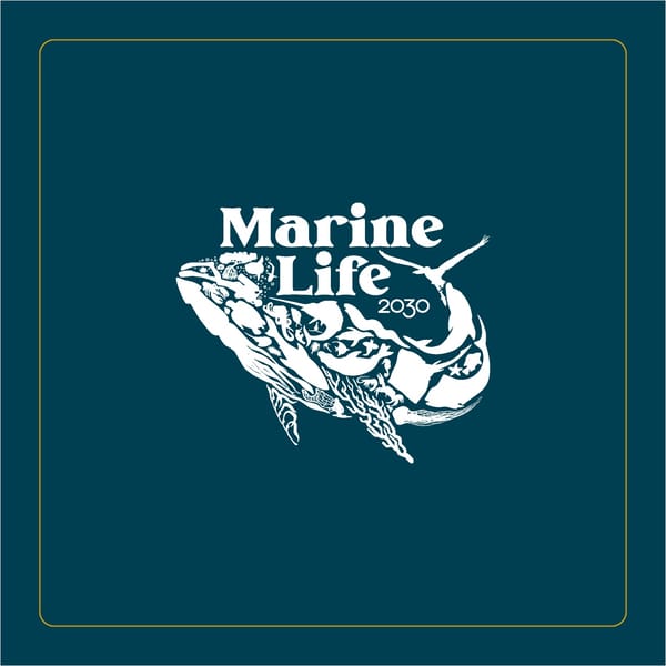 Marine Life 2030 Brand Book - Page 8