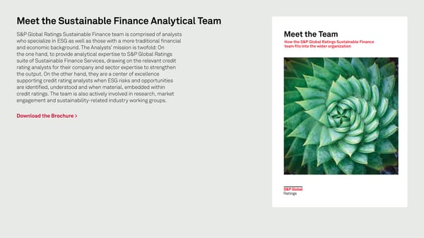ESG Evaluation | S&P Global - Page 14
