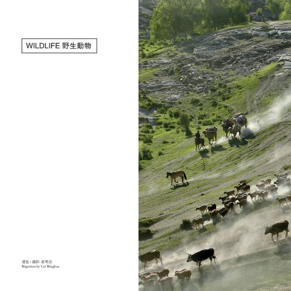 European-Chinese Photographic Art Yearbook (Preview) - Page 24