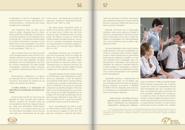 Revista TRT 10 v. 19 n. 20 - Page 29