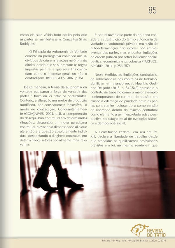 Revista do TRT 10 V. 20 n. 2 2016 - Page 85