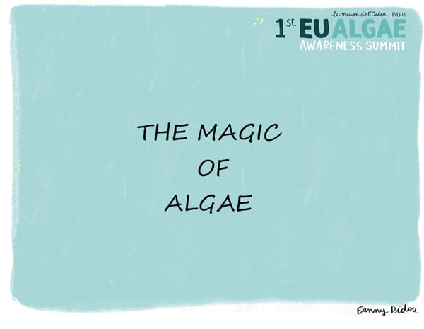 The 1st Algae awareness Summit in Pictures reduced - Page 15