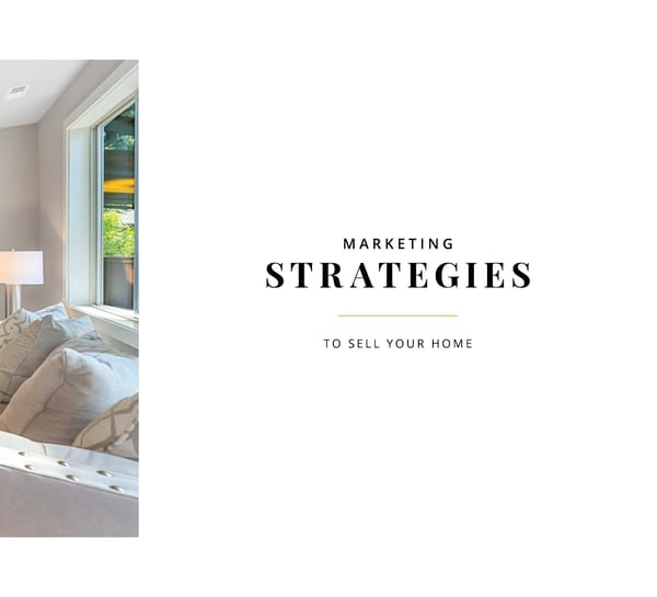 Discover a New Level of Marketing Excellence - Page 13