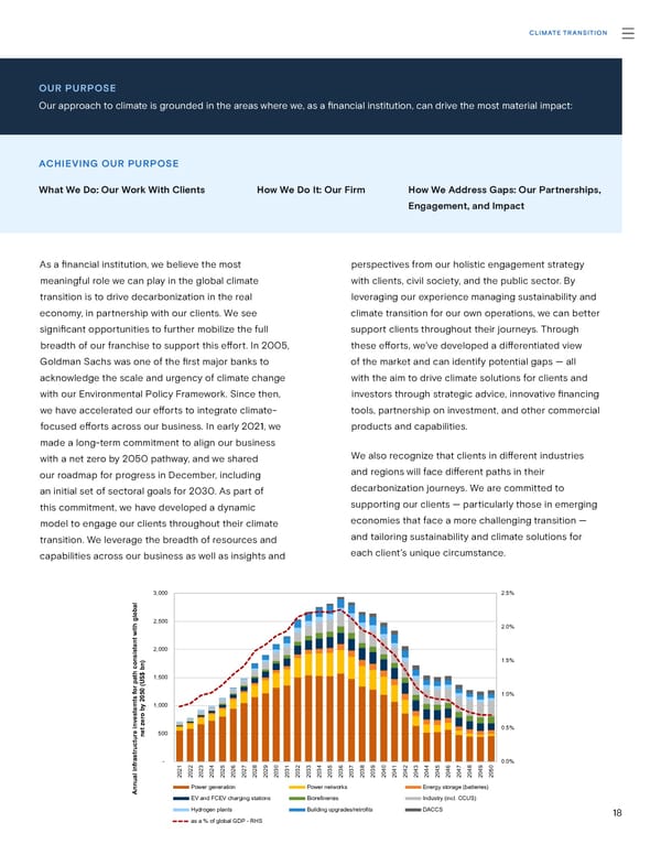 Goldman Sachs sustainability report - Page 18