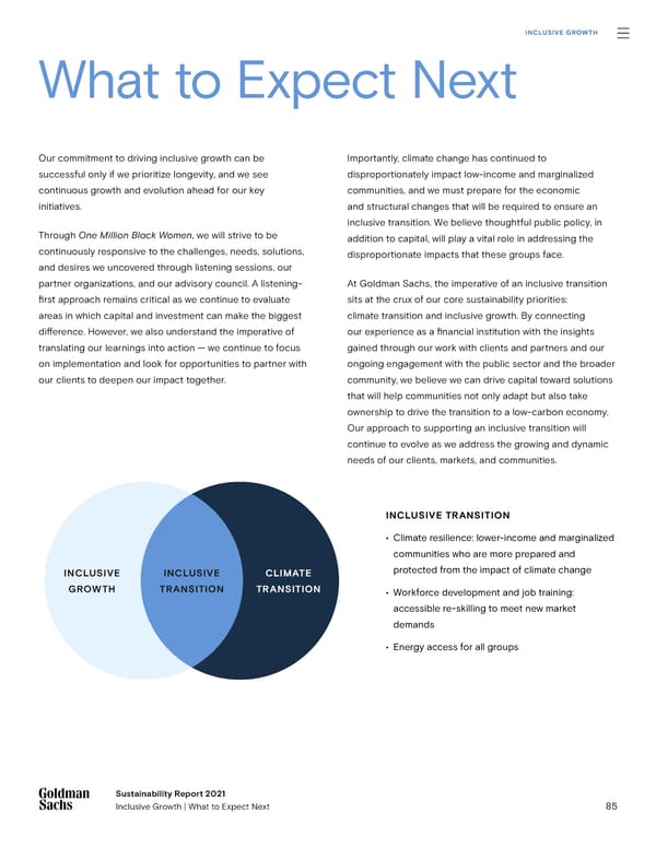 Goldman Sachs sustainability report - Page 85