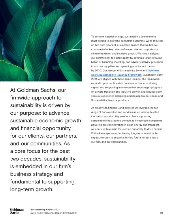 Goldman Sachs sustainability report - Page 111