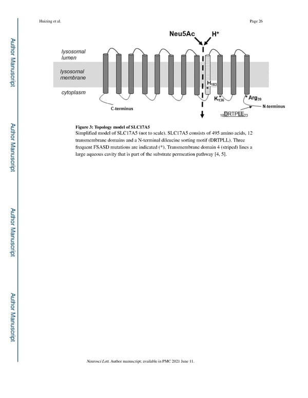 Free Sialic Acid Storage Disorder: Progress and Promise - Page 26