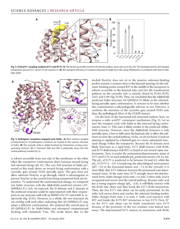 The molecular mechanism of sialic acid transport mediated by Sialin - Page 5