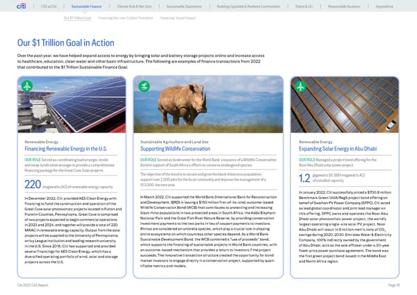 Global ESG Report 2022 Citi Bookmarked - Page 18