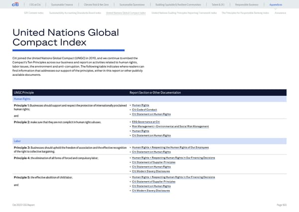 Global ESG Report 2022 Citi Bookmarked - Page 100