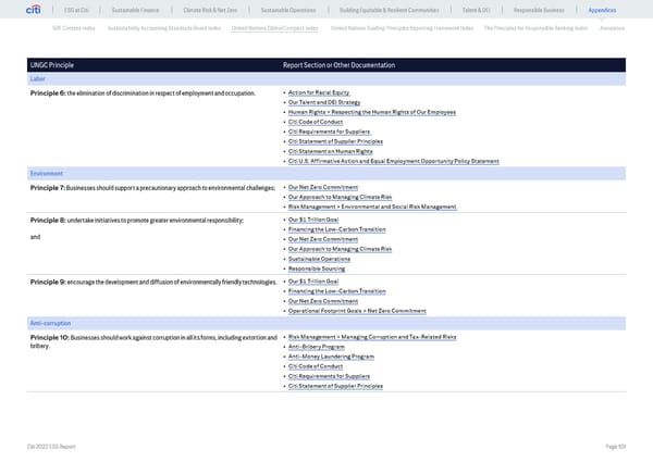 Global ESG Report 2022 Citi Bookmarked - Page 101