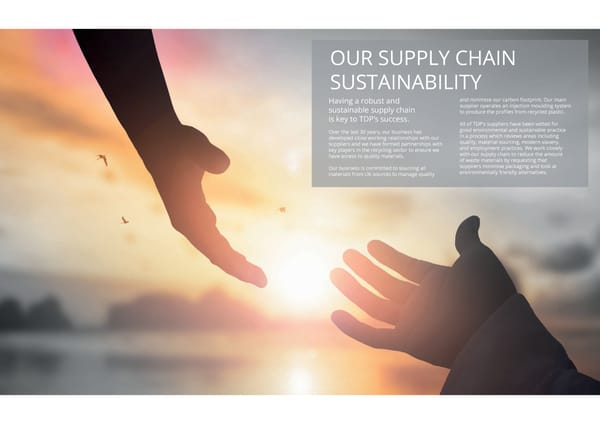 TDP Sustainability Strategy - Page 7
