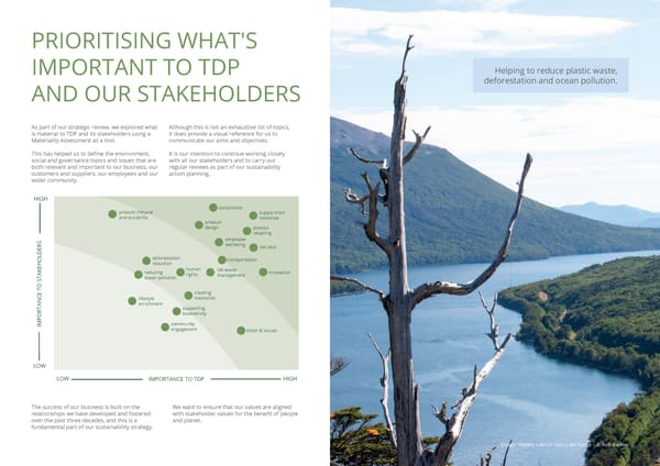 TDP Sustainability Strategy - Page 9