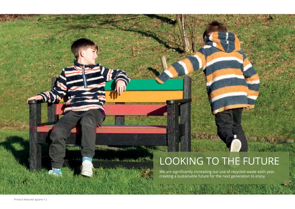 TDP Sustainability Strategy - Page 11