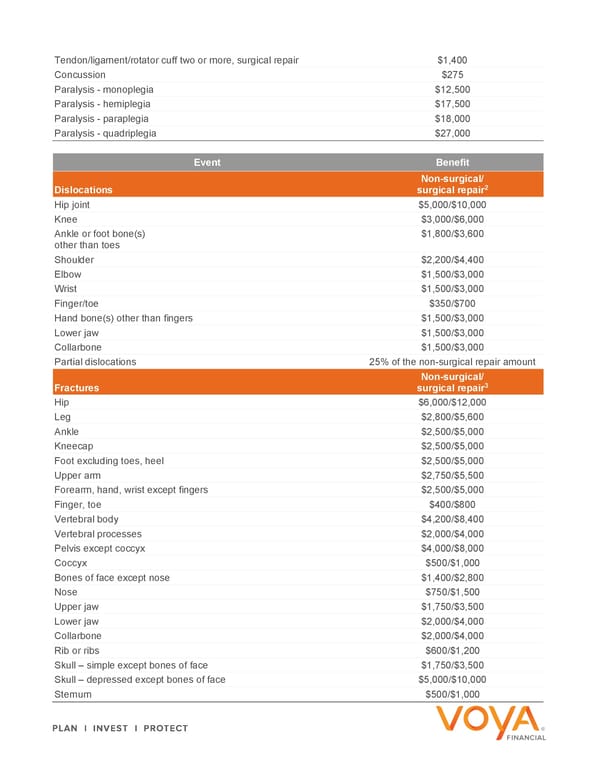 Accident – Explore Your Benefits Flyer 2024 - Page 5