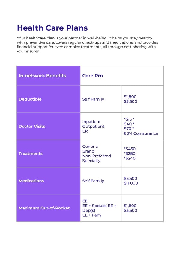 Employee Benefits Booklet Template - Google Slides, Powerpoint & PDF - Page 6