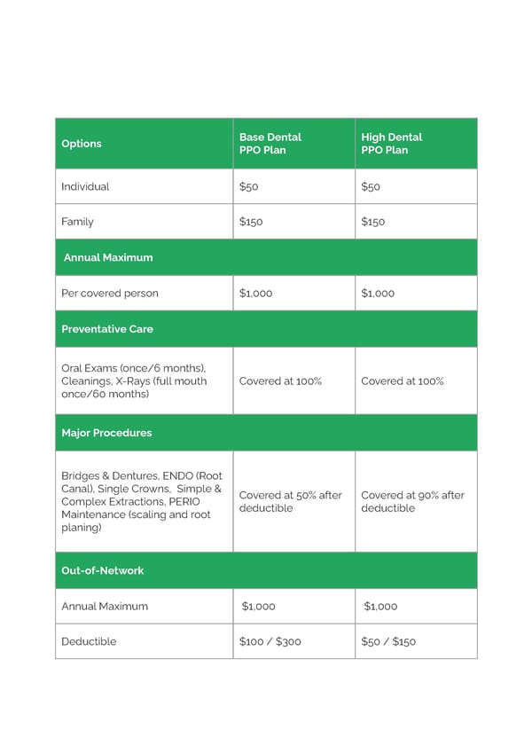 Employee Benefits Presentation Template - Google Slides, Powerpoint & PDF - Page 7