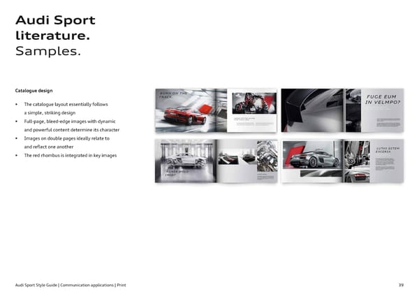 Audi Sport Brand Book - Page 39